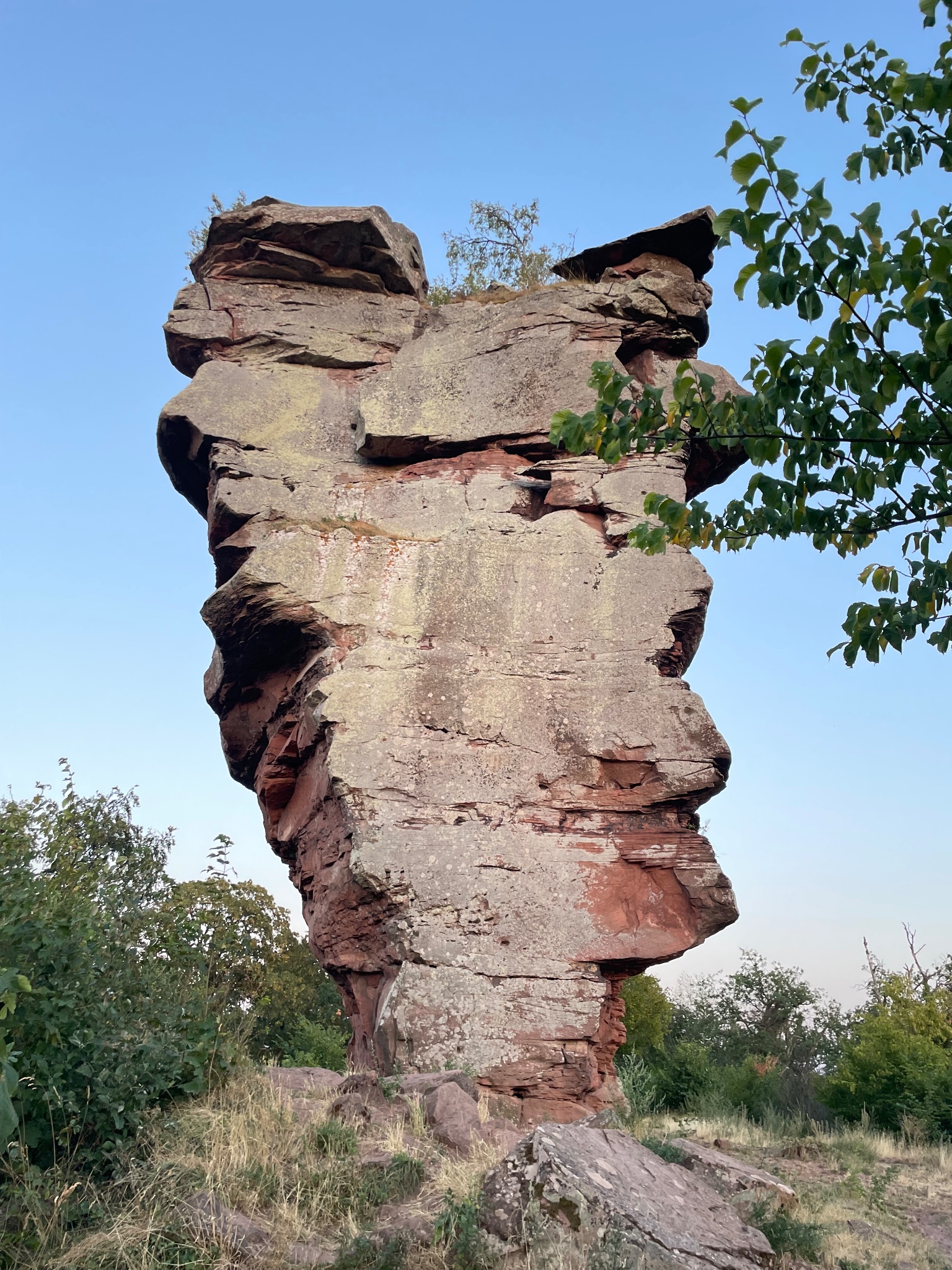 Ziel-Foto